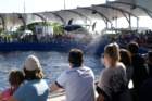 decmiamiaquarium28_small.jpg