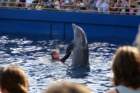 decmiamiaquarium45_small.jpg