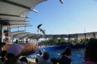 decmiamiaquarium51_small.jpg