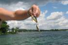 thefishermenday7theriver_small.jpg