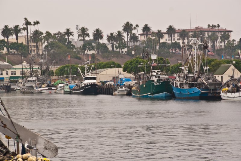 080913_fishing_boats_san_pedro_08998 _fishing_boats_san_pedro_08998.jpg