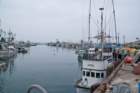 _fishing_boats_san_pedro_09039_small.jpg