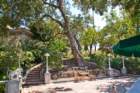 _hearst_castle_09139_small.jpg