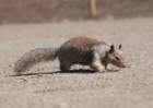 _scenes_pch_09088_small.jpg