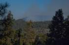 _scenes_sequoia_0478_small.jpg