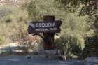 _scenes_sequoia_0500_small.jpg