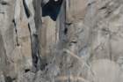 _scenes_yosemite_10427_small.jpg