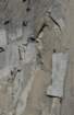 _scenes_yosemite_10428a_small.jpg