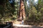 _scenes_yosemite_10675_small.jpg