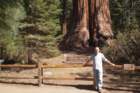 _scenes_yosemite_10679_small.jpg