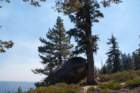 _scenes_yosemite_10713_small.jpg