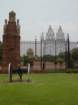 dsc00800_small.jpg