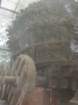 dsc00834_small.jpg