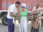 dsc00861_small.jpg