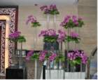 theleelahotelgurgaonindia12_small.jpg