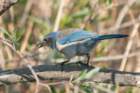 a900dsc02820_small.jpg