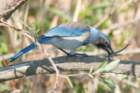a900dsc02828_small.jpg