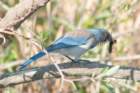 a900dsc02829_small.jpg