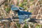 a900dsc02834_small.jpg