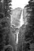 yosemitefallsbwa100dsc02073_small.jpg