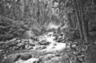 yosemitefallsbwa900dsc02034_small.jpg