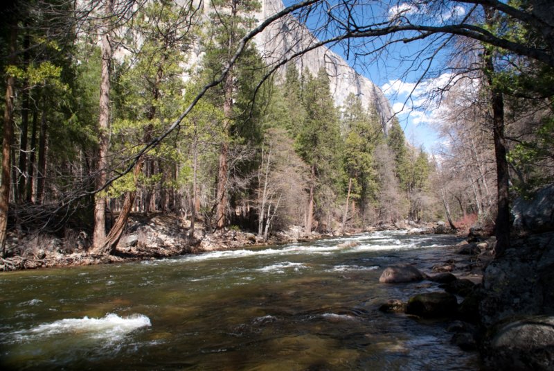 yosemitevalleya100dsc01697.jpg