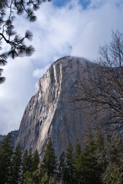 yosemitevalleya100dsc01996.jpg