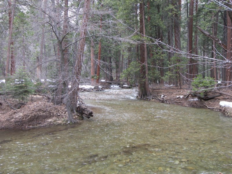 4-7-09 129 photo108.jpg