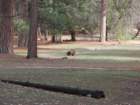 photo147_small.jpg