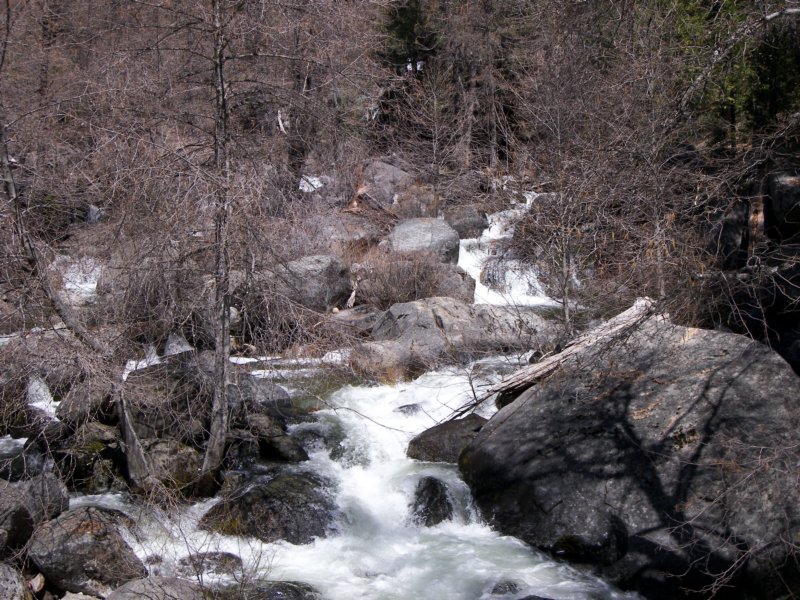 4-6-09 011 photo2.jpg