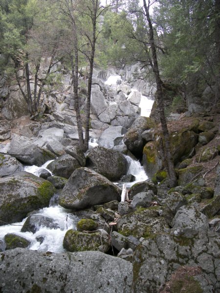 4-7-09 005 photo59.jpg
