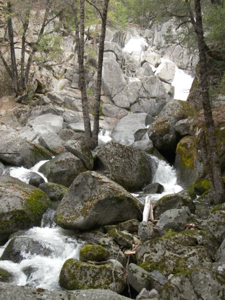 4-7-09 010 photo62.jpg