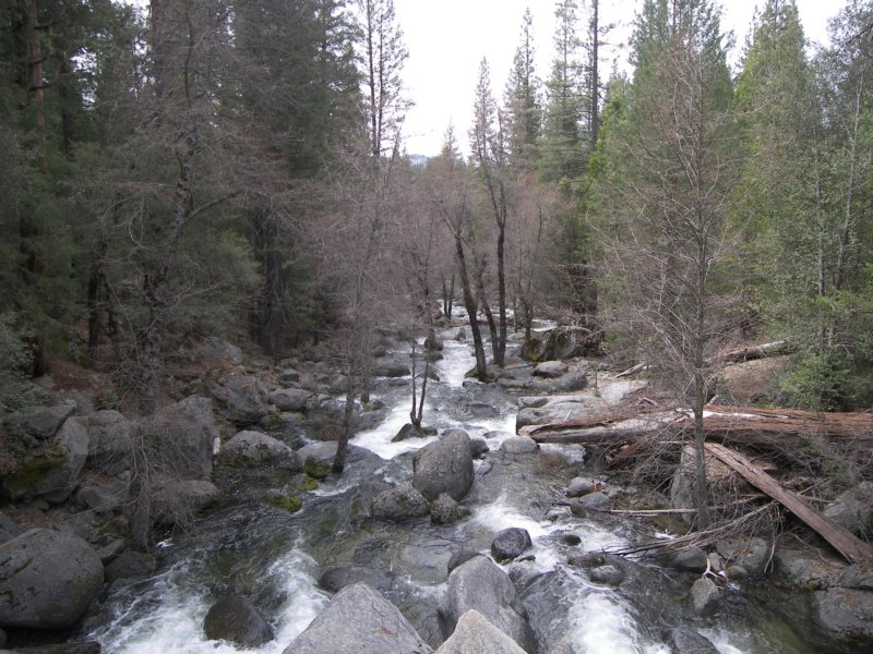 4-7-09 023 photo67.jpg