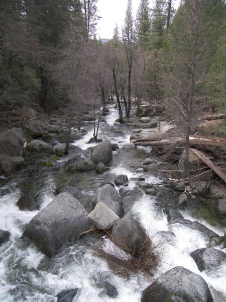 4-7-09 026 photo69.jpg
