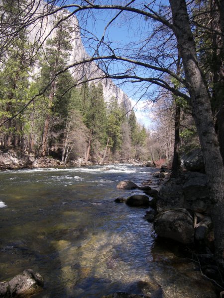 4-7-09 070 photo80.jpg