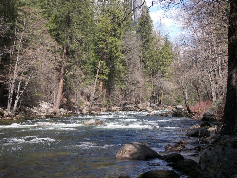 4-7-09 073 photo81.jpg