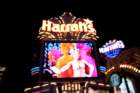 dsc09480_small.jpg