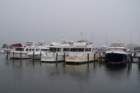 dsc00592_small.jpg