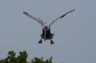 dsc00599_small.jpg