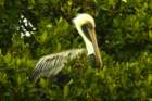dsc00602_small.jpg