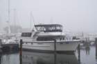 dsc00624_small.jpg