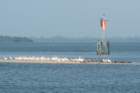 dsc01232_small.jpg
