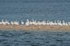 dsc01237_small.jpg