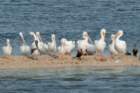 dsc01240_small.jpg