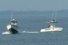 dsc01278_small.jpg