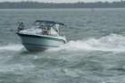 dsc01312_small.jpg
