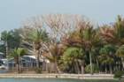 dsc01448_small.jpg