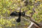 dsc01452_small.jpg