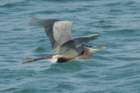 dsc01551_small.jpg