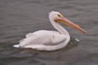 dsc01596_small.jpg
